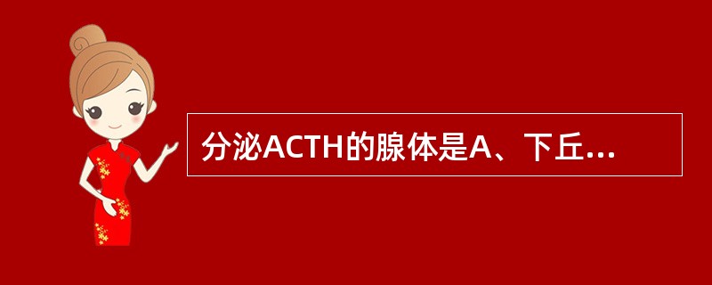 分泌ACTH的腺体是A、下丘脑B、神经垂体C、腺垂体D、甲状腺E、肾上腺