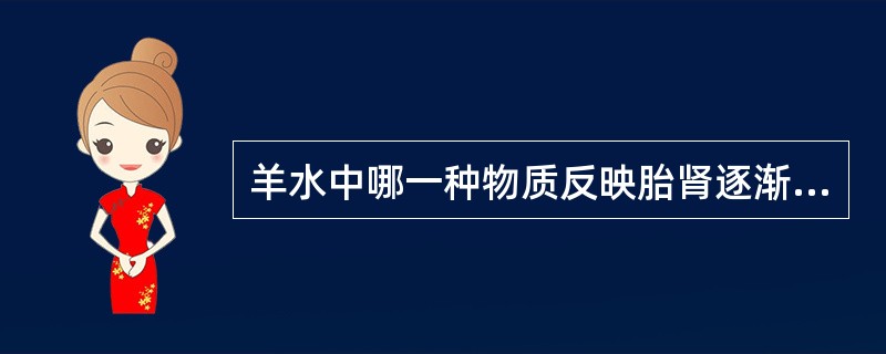 羊水中哪一种物质反映胎肾逐渐发育成熟A、肌酐B、胆固醇C、蛋白质D、AFPE、碱