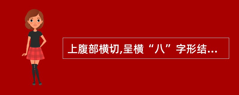 上腹部横切,呈横“八”字形结构的是()。A、胃体B、贲门C、胃窦D、胃角E、胃底