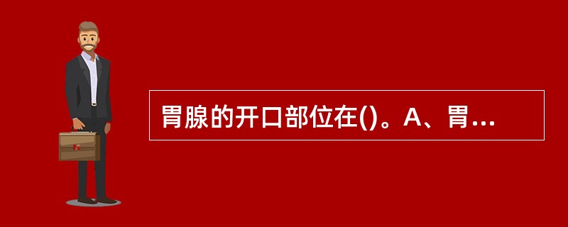 胃腺的开口部位在()。A、胃体部B、幽门部C、纵行皱襞上D、胃区E、胃小凹 -