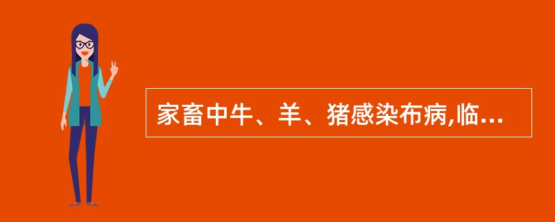 家畜中牛、羊、猪感染布病,临床特征是生殖系统受到严重侵害,表现为雌性流产和不孕,