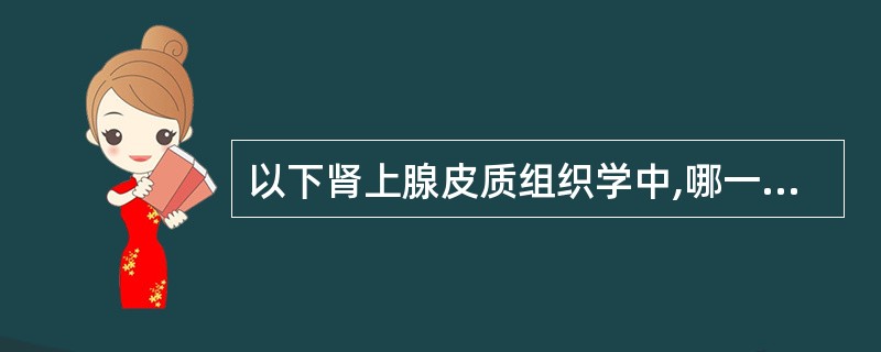 以下肾上腺皮质组织学中,哪一项是错误的()。A、球状带B、束状带C、网状带D、交