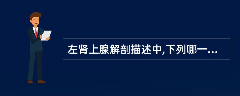 左肾上腺解剖描述中,下列哪一项最确切()。A、左肾上腺呈三角形,位于左肾上极内侧