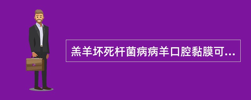 羔羊坏死杆菌病病羊口腔黏膜可见( )。