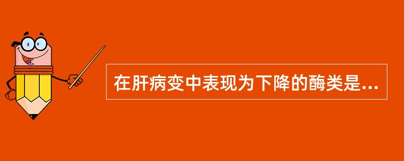 在肝病变中表现为下降的酶类是A、ALTB、PCHEC、ASTD、LDHE、ALP