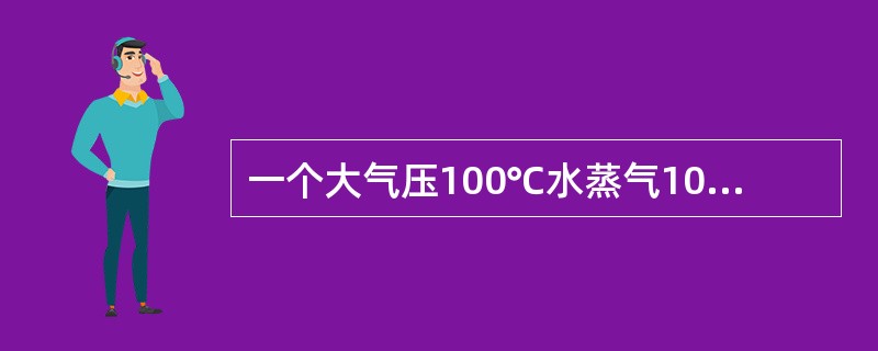 一个大气压100℃水蒸气10~30min