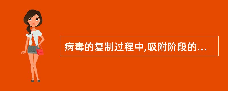 病毒的复制过程中,吸附阶段的方式有A、病毒穿入B、病毒DNA复制C、病毒包膜D、