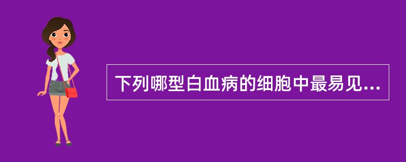 下列哪型白血病的细胞中最易见到Auer小体A、AML£­M1B、AML£­M4C