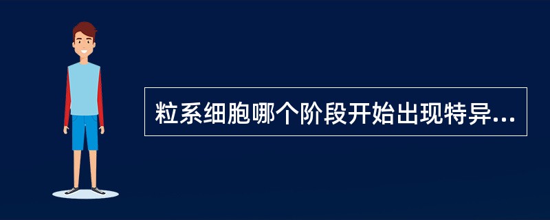 粒系细胞哪个阶段开始出现特异性颗粒A、原始粒细胞B、早幼粒细胞C、中幼粒细胞D、