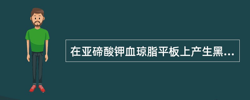 在亚碲酸钾血琼脂平板上产生黑色菌落的革兰阳性杆菌为