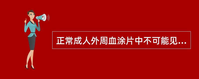 正常成人外周血涂片中不可能见到的是A、有核红细胞B、嗜碱性点彩红细胞C、嗜多色性