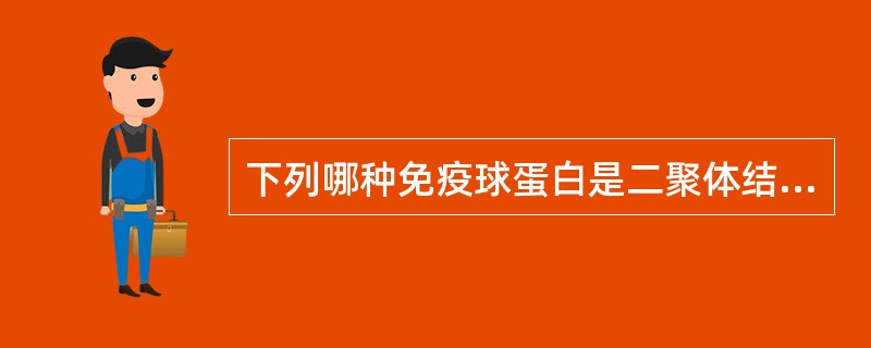 下列哪种免疫球蛋白是二聚体结构A、IgMB、血清型IgAC、分泌型IgAD、Ig