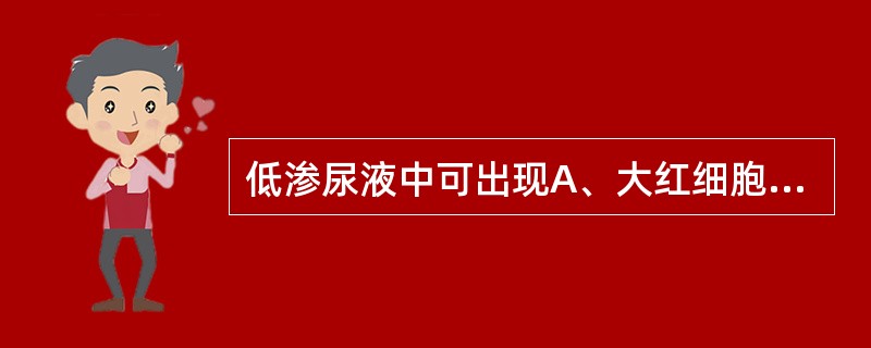 低渗尿液中可出现A、大红细胞B、小红细胞C、棘形红细胞D、影细胞E、新月形红细胞