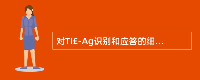 对TI£­Ag识别和应答的细胞是A、Th细胞B、Tc细胞C、B细胞D、NK细胞E