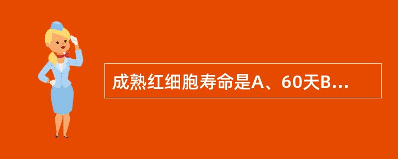成熟红细胞寿命是A、60天B、80天C、100天D、120天E、50天