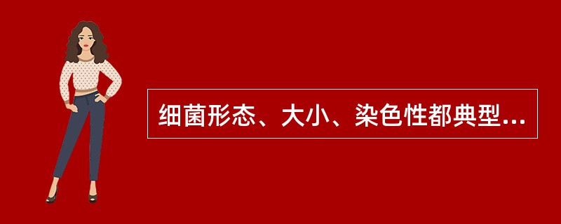 细菌形态、大小、染色性都典型的期是A、稳定期B、对数期C、衰亡期D、迟缓期E、生
