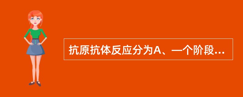 抗原抗体反应分为A、—个阶段B、两个阶段C、三个阶段D、四个阶段E、不分阶段 -