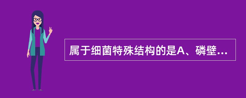 属于细菌特殊结构的是A、磷壁酸B、外膜C、荚膜D、肽聚糖E、核糖体