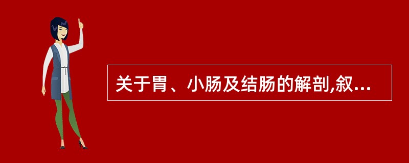 关于胃、小肠及结肠的解剖,叙述正确的有A、胃后壁隔着小网膜囊与胰、左肾、左肾上腺