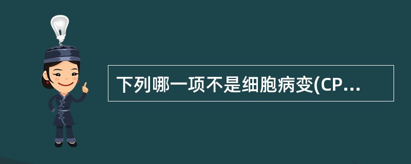 下列哪一项不是细胞病变(CPE)的表现A、细胞数目增加B、细胞圆缩C、细胞破碎D