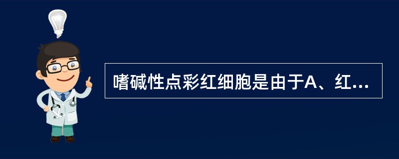 嗜碱性点彩红细胞是由于A、红细胞染色异常而形成B、胞浆中的脂蛋白变性而成C、胞浆