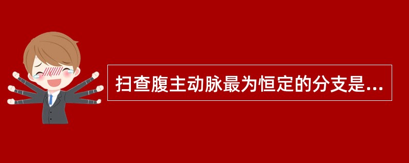 扫查腹主动脉最为恒定的分支是 ( )A、右肾动脉B、腹腔动脉C、肠系膜上动脉D、