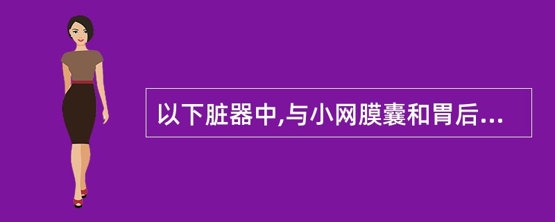 以下脏器中,与小网膜囊和胃后壁不相邻的是A、膈脚B、肝尾叶C、胰D、左肾E、左肾