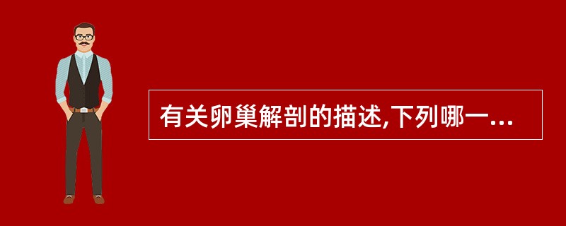 有关卵巢解剖的描述,下列哪一项是错误的A、卵巢位于子宫两侧的附件区内B、卵巢位于