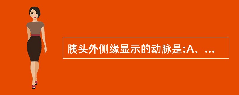 胰头外侧缘显示的动脉是:A、脾动脉B、胃十二指肠动脉C、肠系膜上动脉D、肝动脉