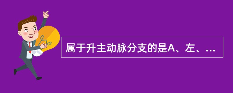 属于升主动脉分支的是A、左、右冠状动脉B、头臂干C、右颈总动脉D、右锁骨下动脉E