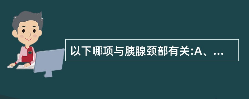 以下哪项与胰腺颈部有关:A、肝动脉B、肠系膜上静脉C、肝门D、肠系膜上动脉 -