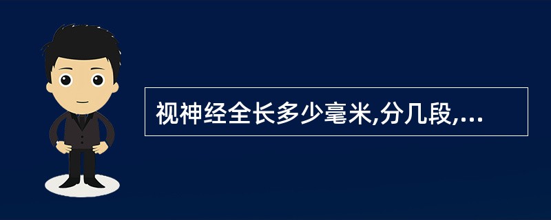 视神经全长多少毫米,分几段,超声检测可显示哪几段 ( )A、<33mm,3段,各