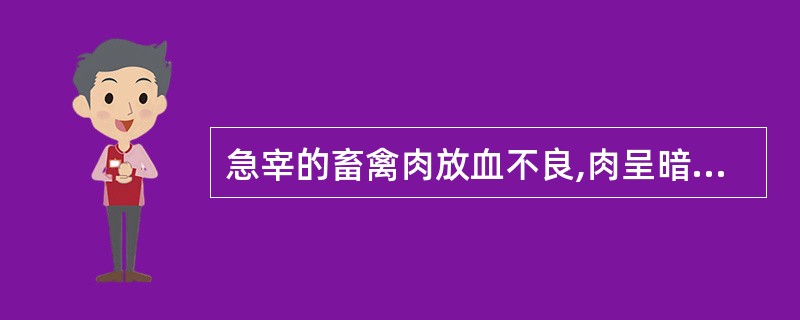 急宰的畜禽肉放血不良,肉呈暗红色或黑红色。( )