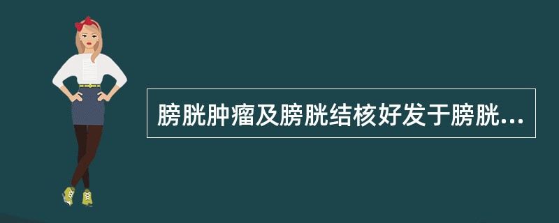 膀胱肿瘤及膀胱结核好发于膀胱的A、颈部B、两侧壁C、前壁D、三角区E、三角后区