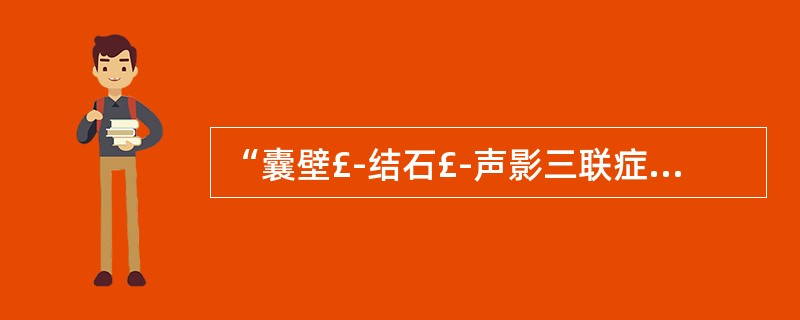 “囊壁£­结石£­声影三联症(WES)”是指A、胆囊壁钙化B、胆囊胆固醇沉着病C
