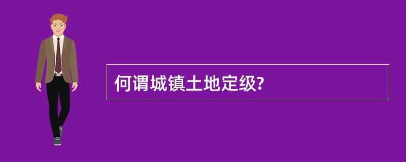 何谓城镇土地定级?