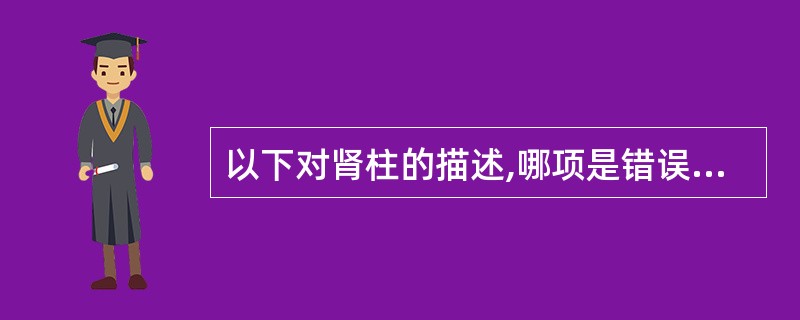 以下对肾柱的描述,哪项是错误的A、肾柱位于肾锥体之间B、肾柱为肾皮质部分C、肾柱