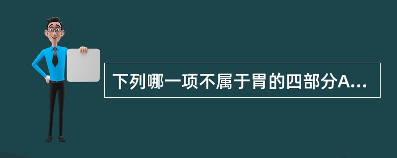 下列哪一项不属于胃的四部分A、穹窿部B、贲门部C、胃底部D、胃体部E、幽门部 -