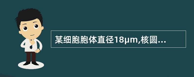 某细胞胞体直径18μm,核圆形居中,染色质粗颗粒状,无核仁,胞质量较多,不透明,