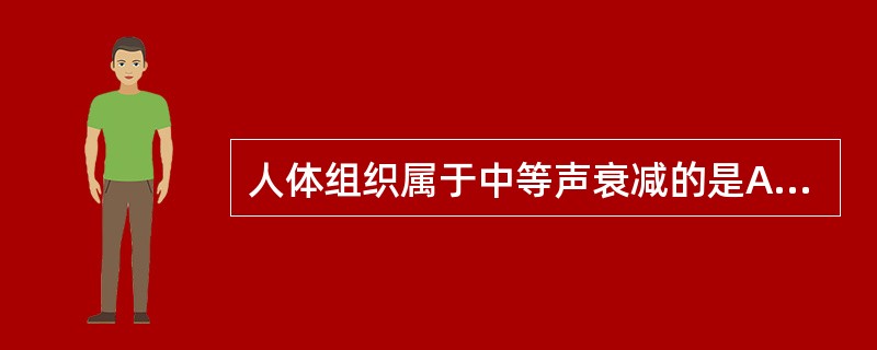 人体组织属于中等声衰减的是A、肝脏B、肌肉组织C、脑组织D、肾脏E、以上都是 -