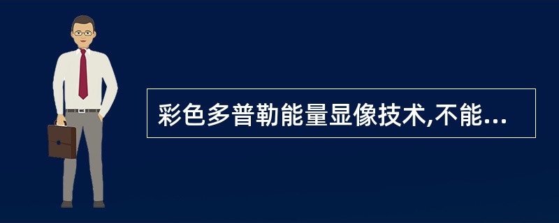 彩色多普勒能量显像技术,不能显示A、低速血流B、血流方向C、血流的分布范围D、血