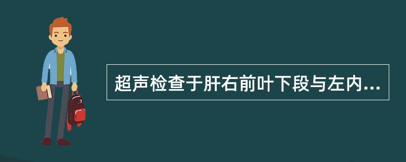 超声检查于肝右前叶下段与左内叶交界处发现低回声不均匀实性肿块,边缘欠清,其内见多