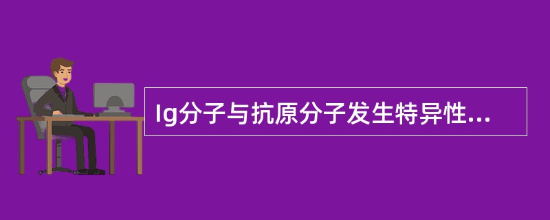 Ig分子与抗原分子发生特异性结合的关键部位由 ( )A、L链和H链的各三个CDR