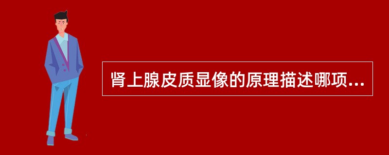 肾上腺皮质显像的原理描述哪项不正确A、胆固醇是合成肾上腺皮质激素的原料B、能被肾