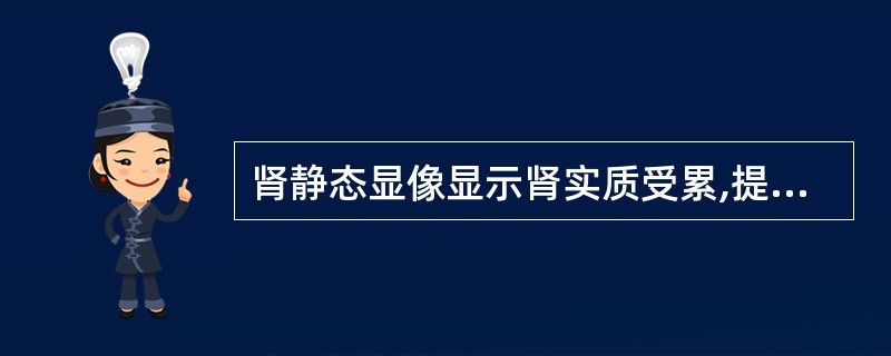 肾静态显像显示肾实质受累,提示是A、肾结石B、肾盂肾炎C、输尿管狭窄D、肾动脉狭