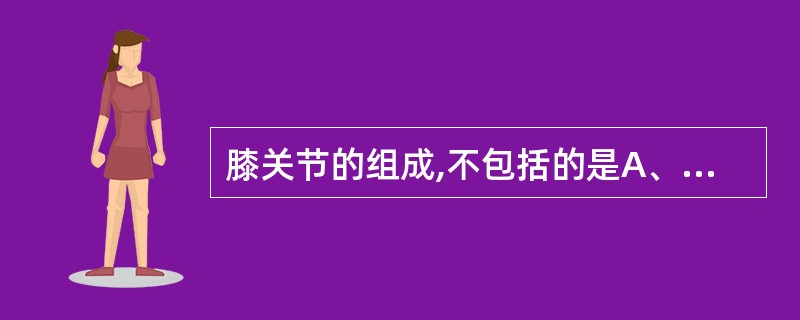 膝关节的组成,不包括的是A、髌骨B、腓骨小头C、胫骨上端D、髁间隆起E、外髁 -