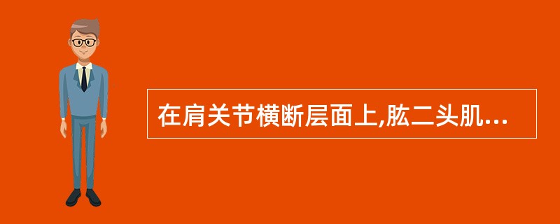 在肩关节横断层面上,肱二头肌长头腱居肱骨A、前方B、后方C、外侧D、内侧E、上方