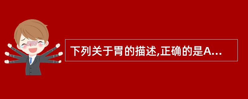 下列关于胃的描述,正确的是A、中等度充盈时,大部分位于左季肋区和腹上区B、幽门窦