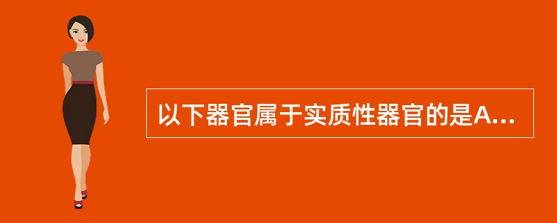 以下器官属于实质性器官的是A、胃B、小肠C、胆囊D、生殖腺E、膀胱