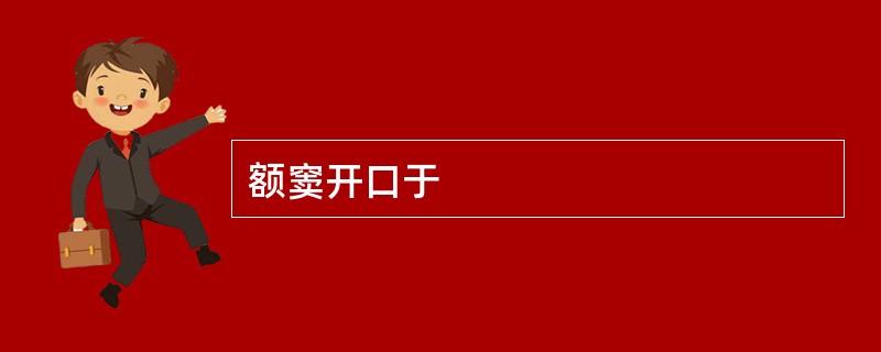 额窦开口于
